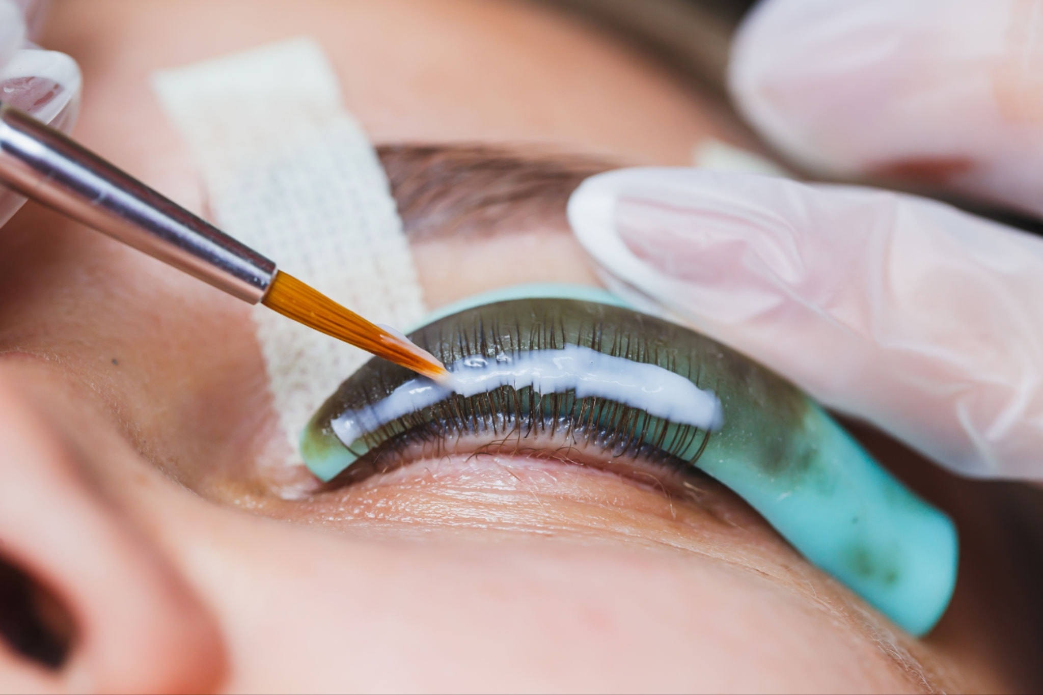 Lashes & Brows